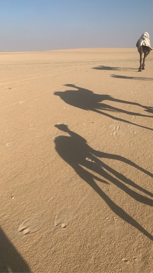 استراحة عبدالعزيز بن فهد ال خطاف .