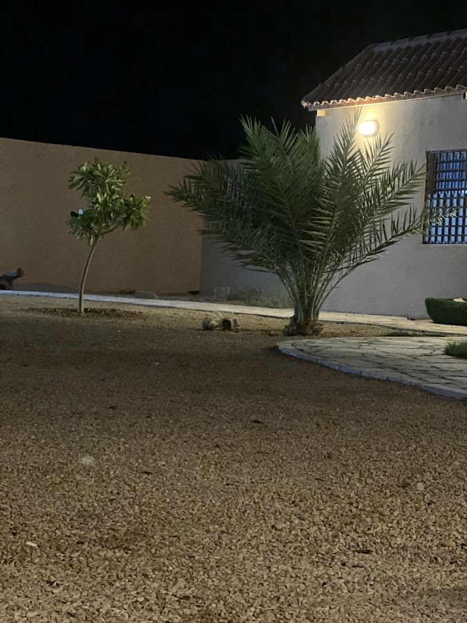 استراحة نواف العنزي