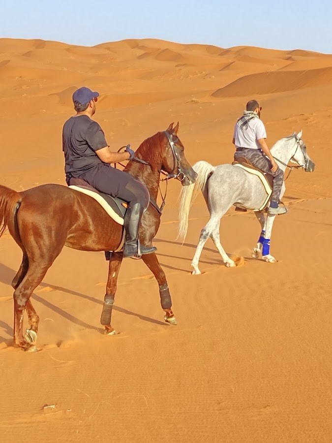 مربط الزبائر للخيول العربية الأصيلة