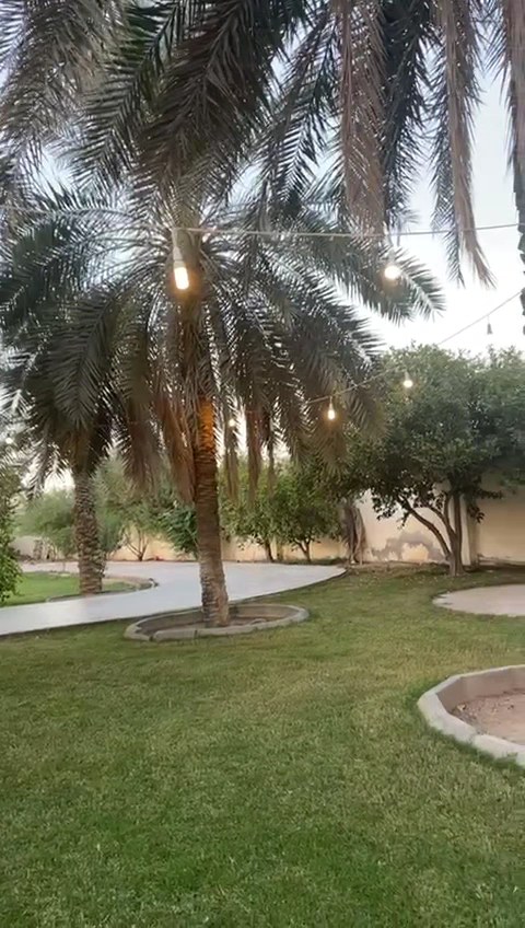 استراحة السعدية للاحتفالات والمناسبات