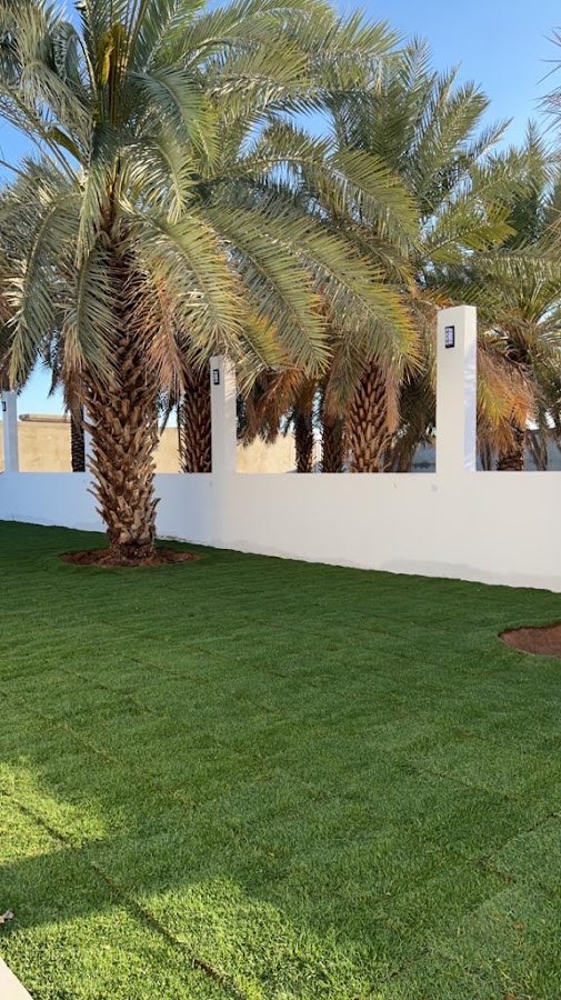 استراحة الجنوب