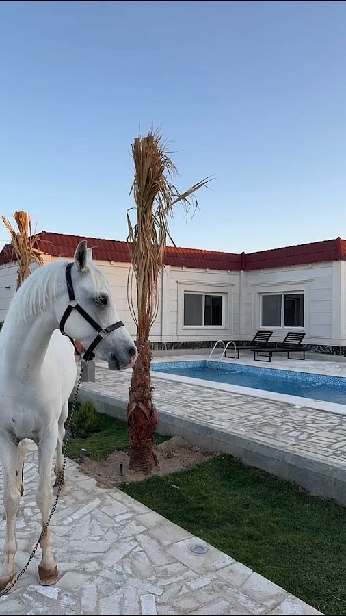 شاليه شيمة
