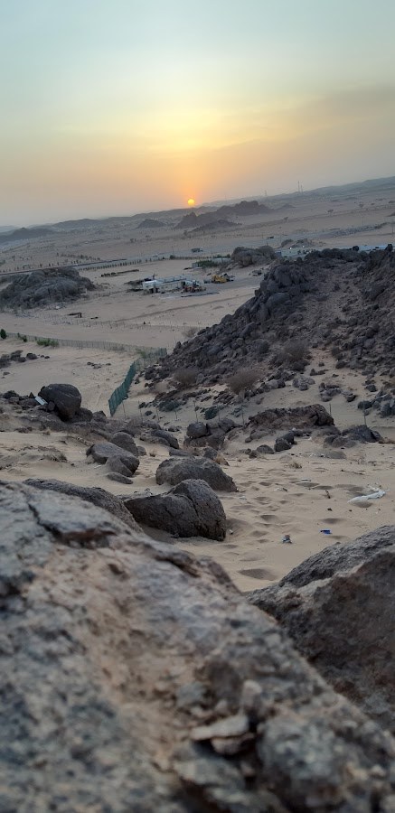 الرين 19277