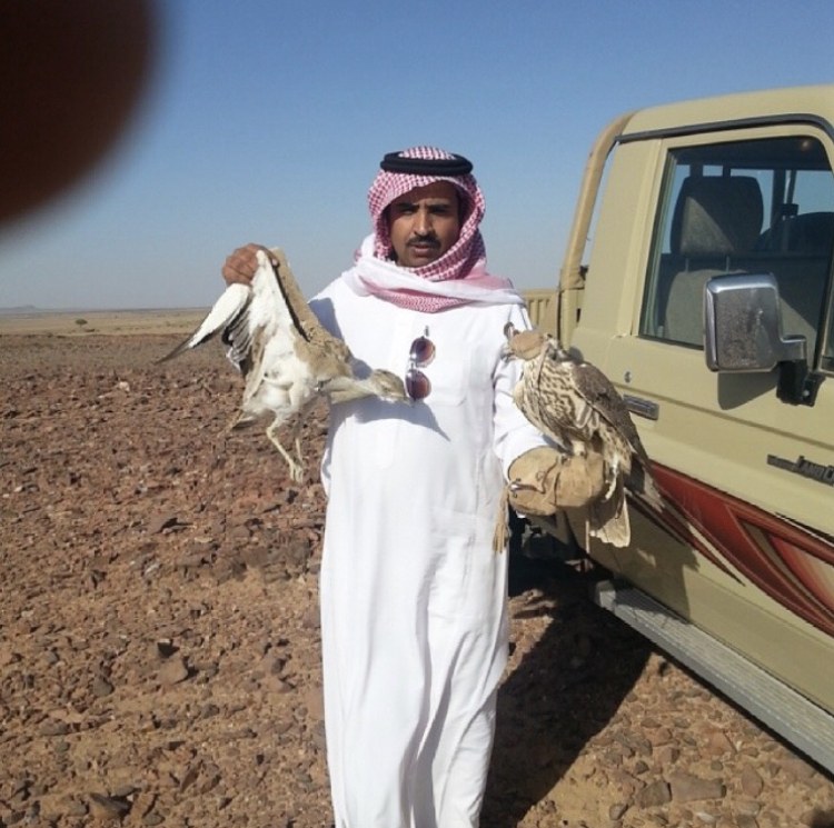 استراحة الصقارين السوادي السوادي