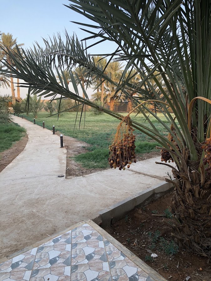 شالية مزرعة السيفية